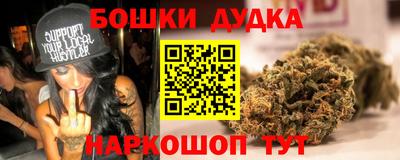 шишки Будённовск