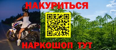 шишки Будённовск