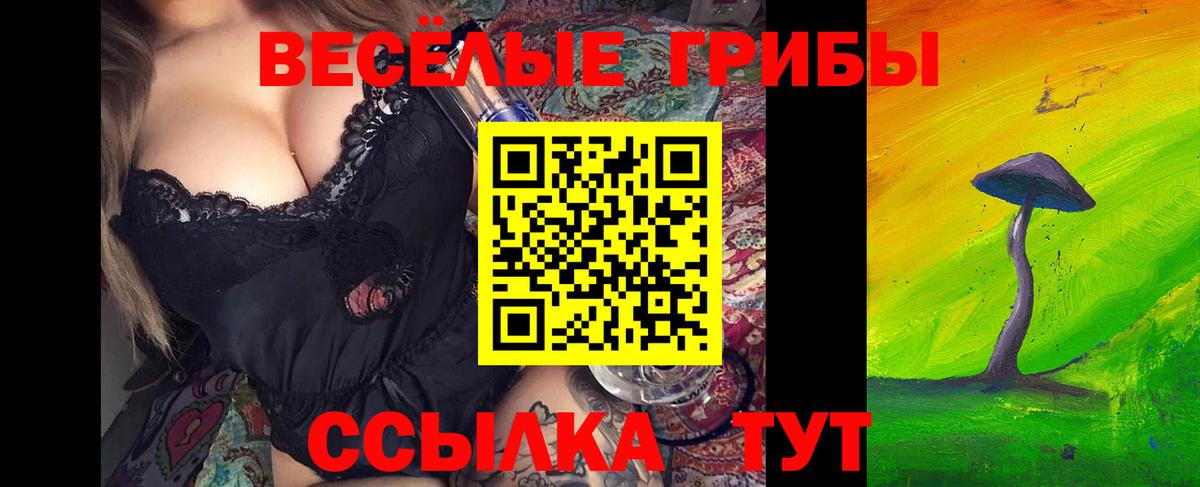 Кохма  Галлюциногенные грибы Cubensis  Вход с VPN 