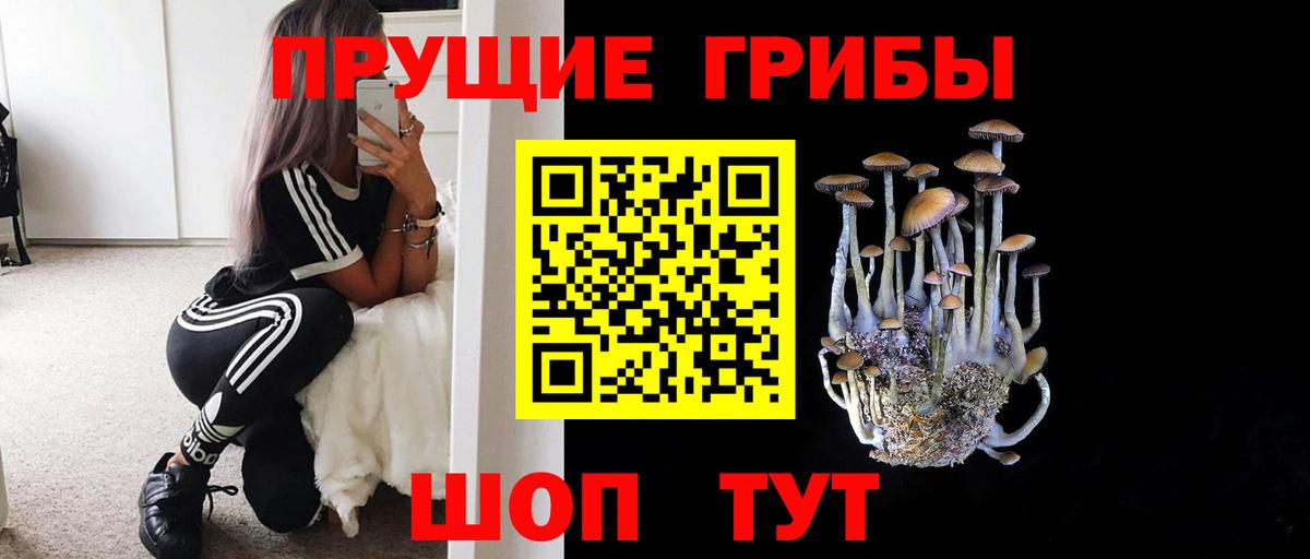 Псилоцибиновые грибы прущие грибы Кохма